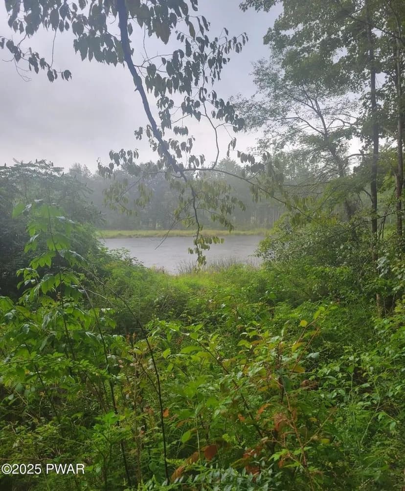 Lots & Land-Other in Lake Ariel