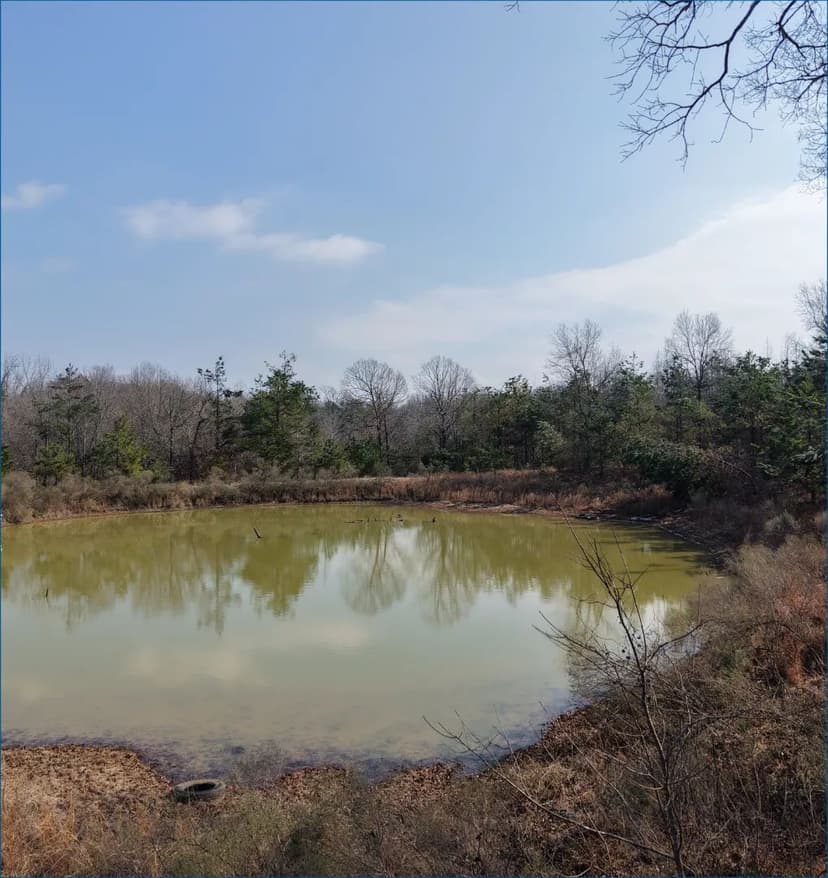 25 Acres in Grenada County in Grenada, MS