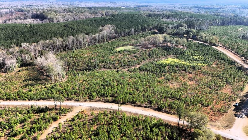 29.17 Acres in Bullock County, AL