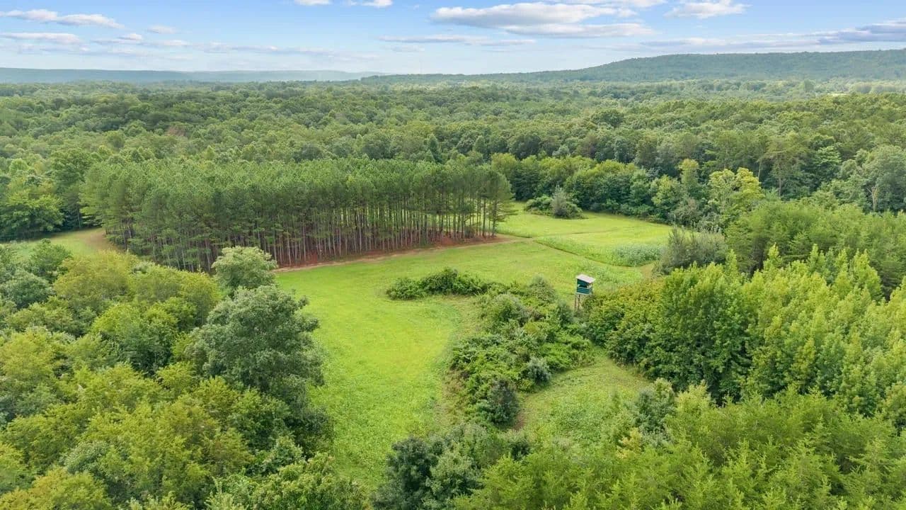 55 Acres for Sale in Grundy County, TN | Round Mountain Creek Preserve - Palmer, Tennessee, 37365