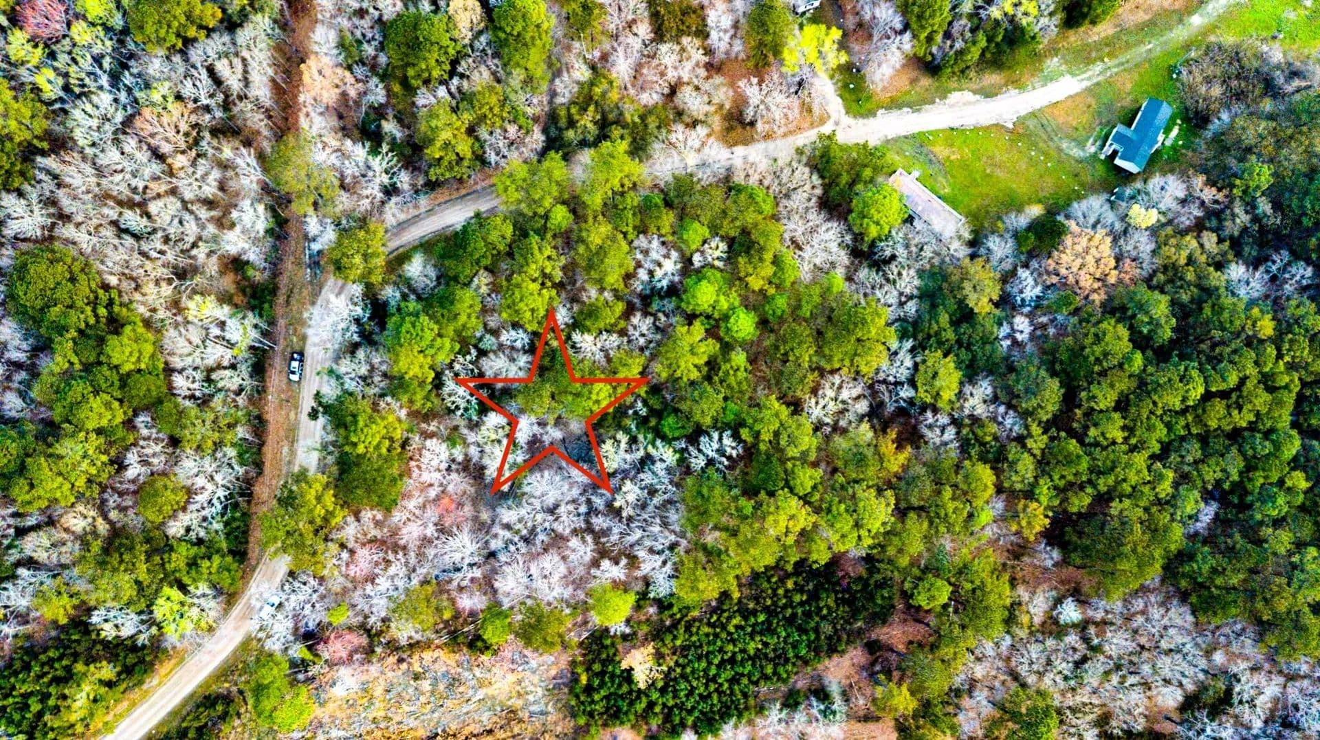 Vacant Land in Johns Island - Johns Island, South Carolina, 29455