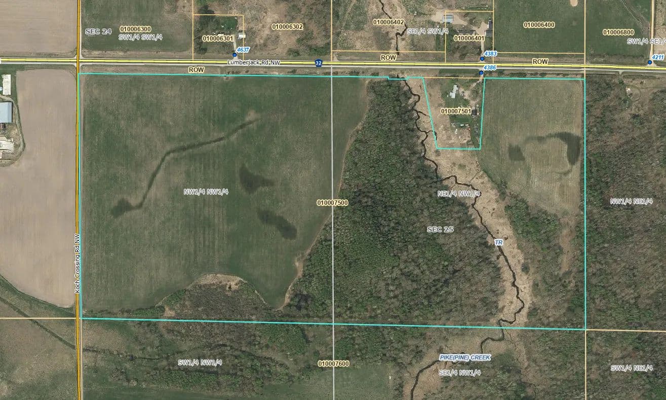 Land -Agricultural (Not Zoned) in Puposky - Puposky, Minnesota, 56667