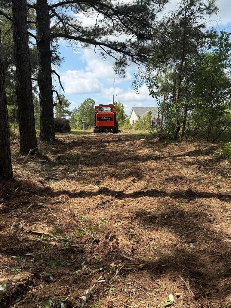 Vacant Land in Box Springs - Box Springs, Georgia, 31801