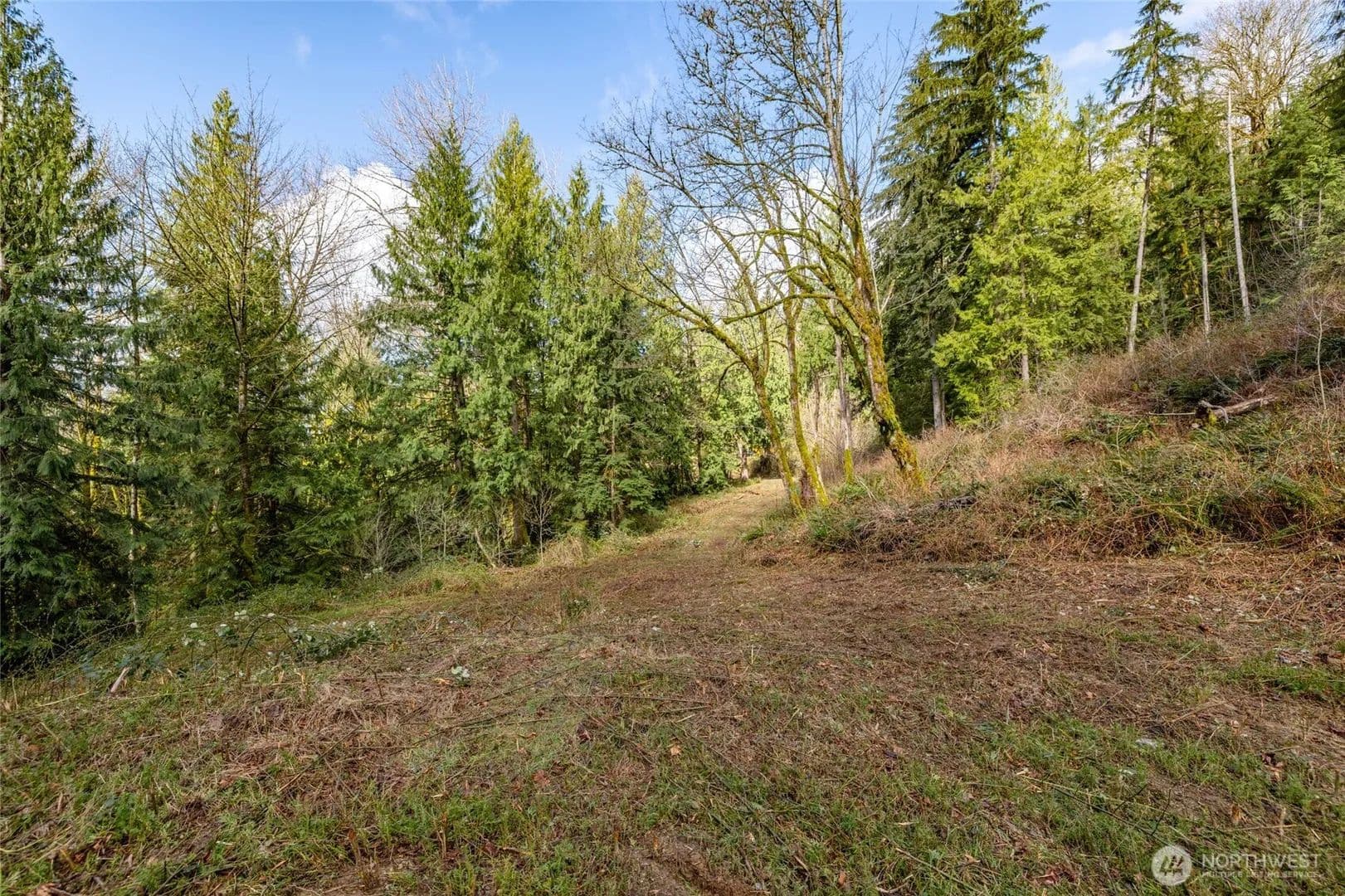 Vacant Land in Arlington - Arlington, Washington, 98223