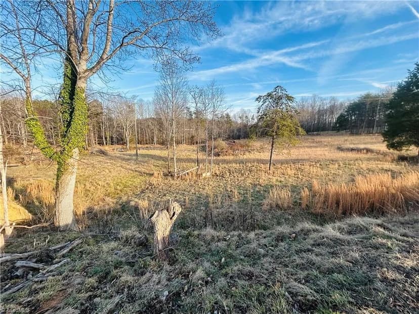 Vacant Land in Mount Airy