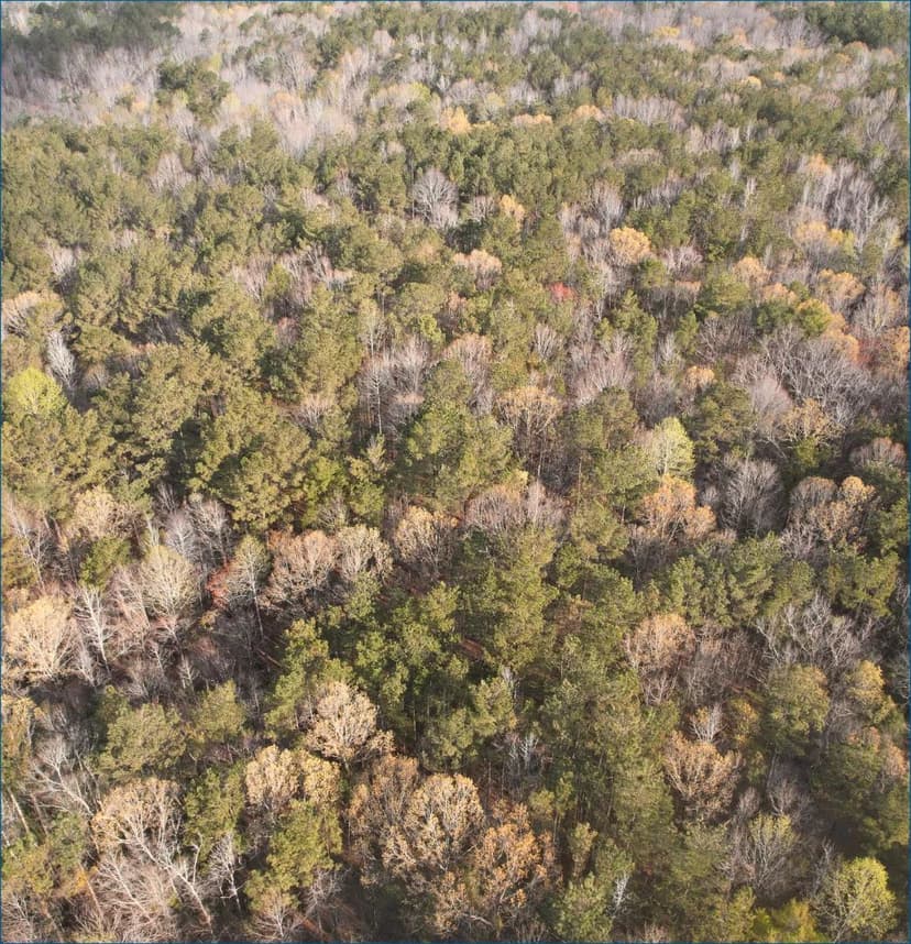 201 Acres in Attala County in McCool, MS