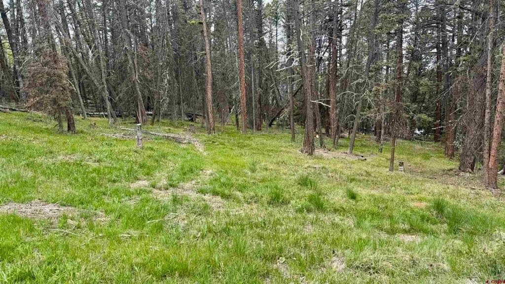 Property from 1301 Spruce Road - KW - Cimarron, Colorado, 81220
