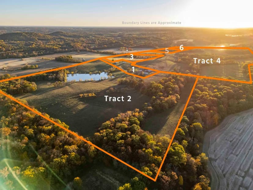 Pike County Missouri Land for Sale at Auction – Rita Alexander Irrevocable Trust Farm