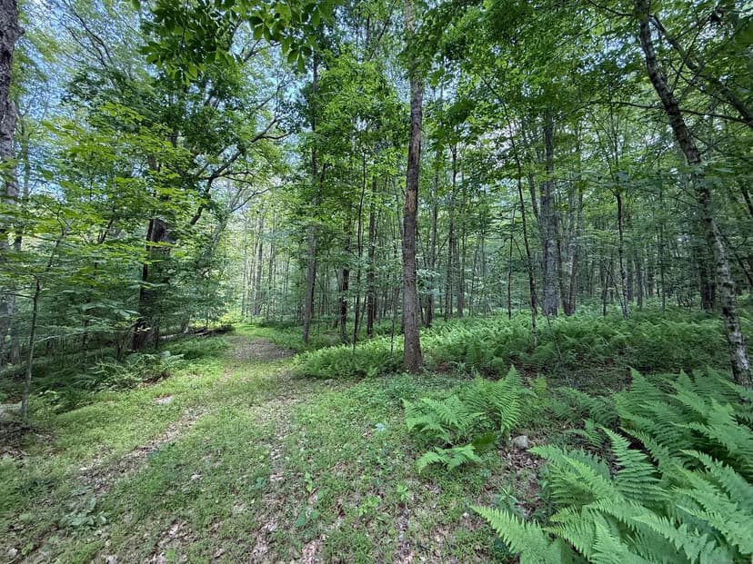 Vacant Land in Killingly