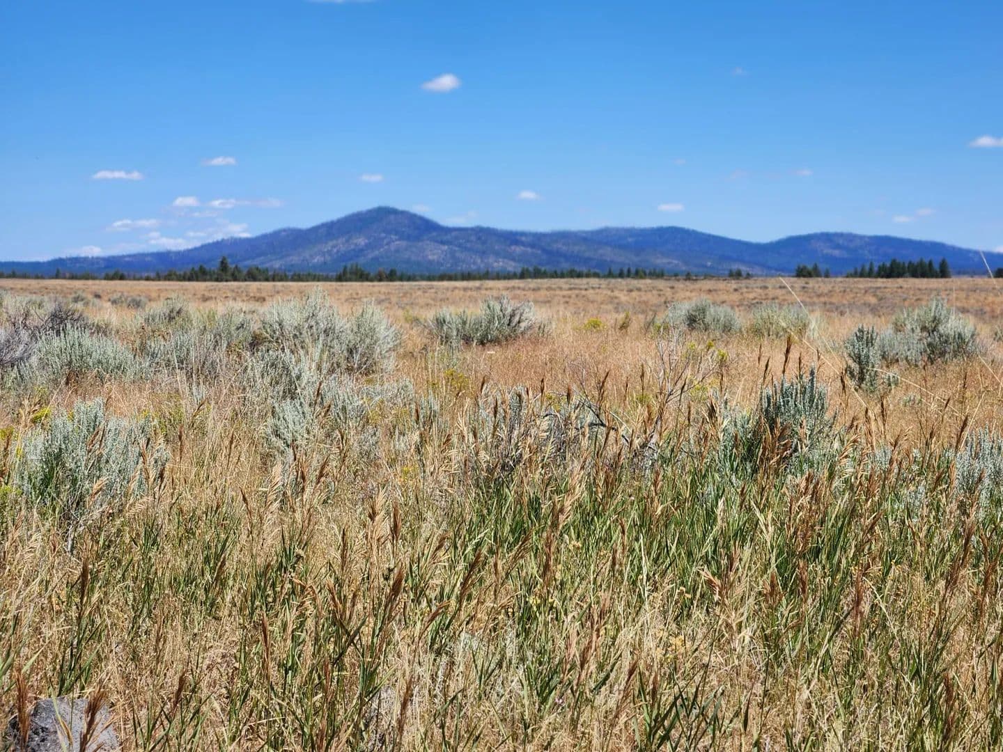 Lots & Land-Other in Sprague River - Sprague River, Oregon, 97639