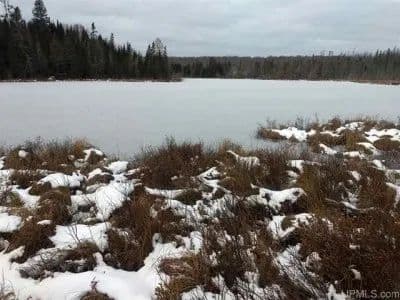 Wildlife Magnet - 49 Acres 1124557