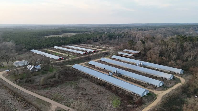 Miller Broiler Farm – Four House Farm in Copiah County, Mississippi