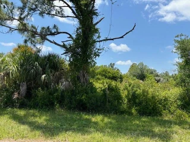 Vacant Land in Port Charlotte - Port Charlotte, Florida, 33953