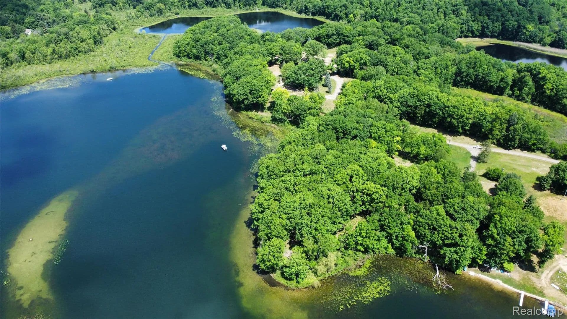 45.45 Acres of Land for Sale in Marathon Township, MI - Michigan, 48464