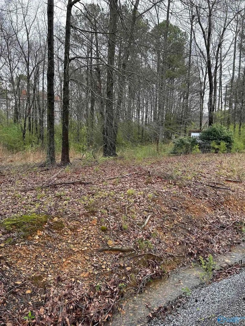 Lots & Land-Other in Cleveland - Cleveland, Alabama, 35049