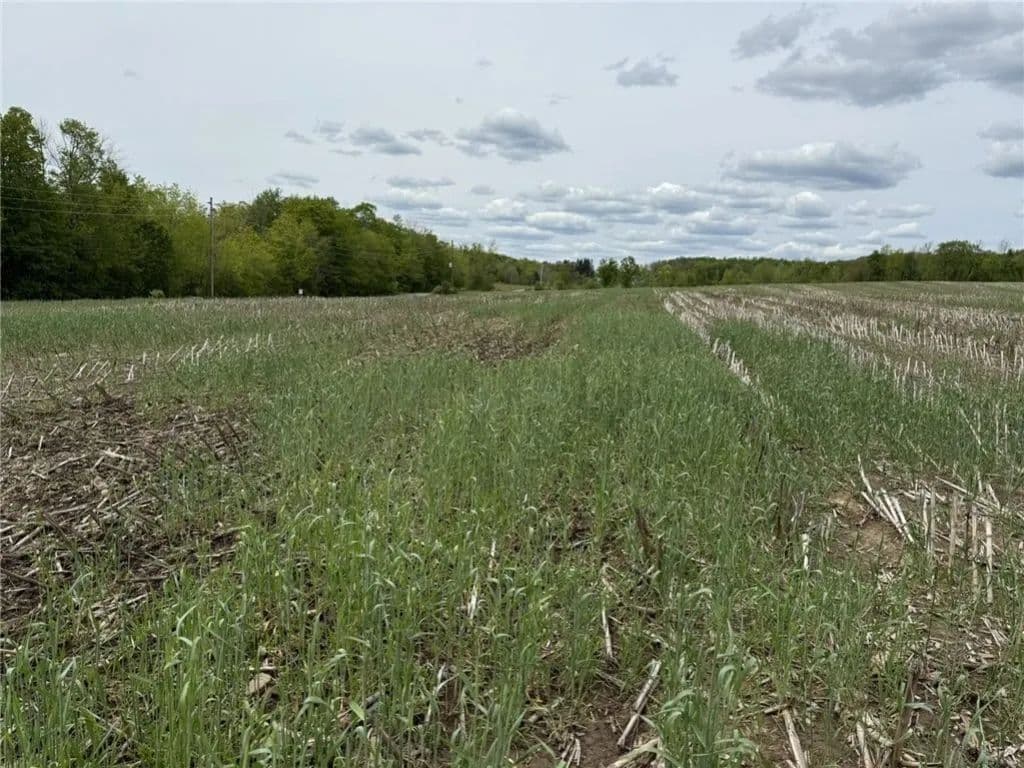 Land -Single Family Acreage in Mc Donough - New York, 13801