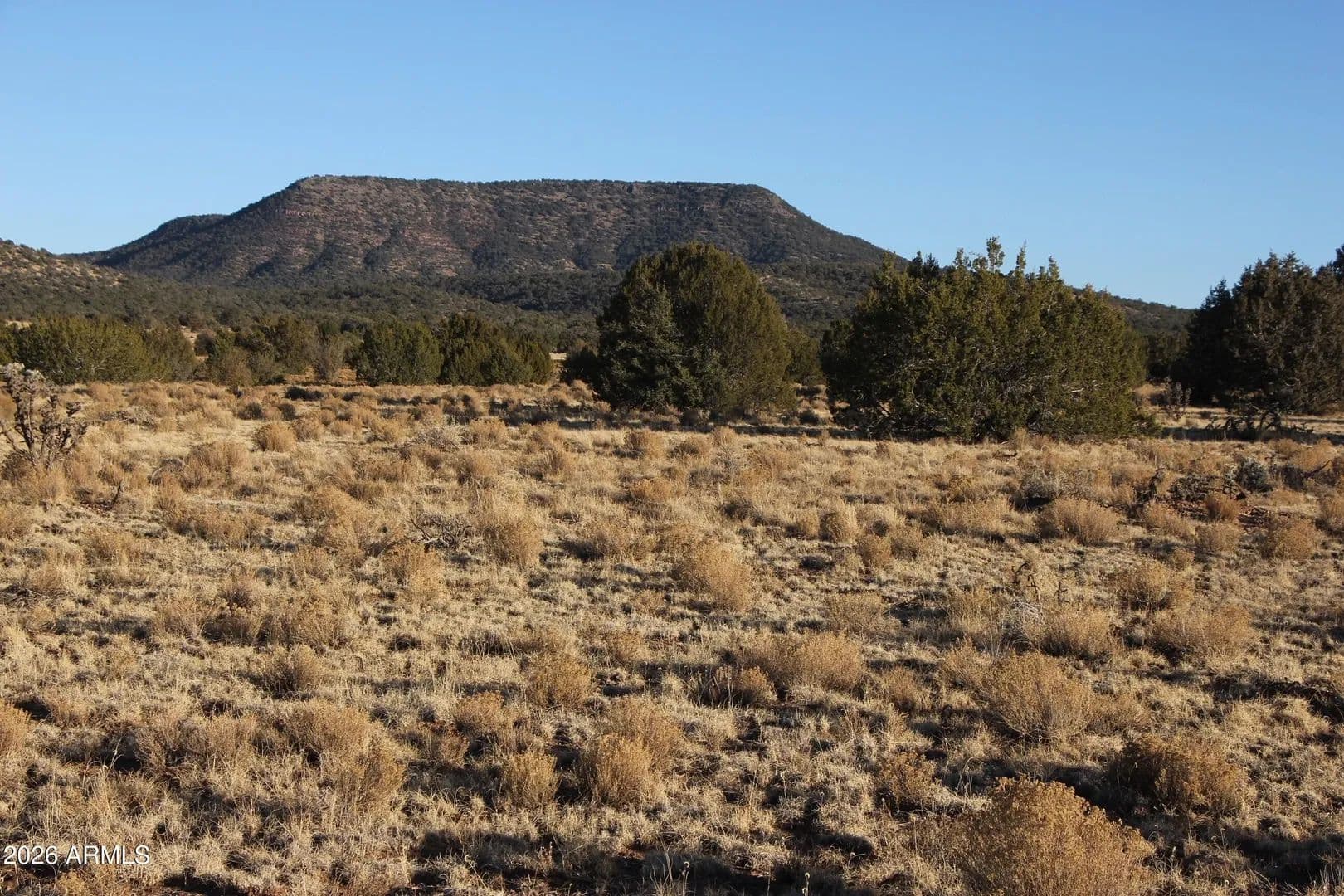 Property from Wrangler R Wrangler Ridge rd -- #301118203 - KW - Seligman, Arizona, 86337
