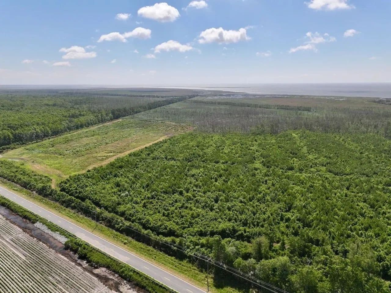 500 Acres of Premier Hunting, Waterfowl, and Timber Investment Land in Hyde County, NC! - Engelhard, North Carolina, 27824
