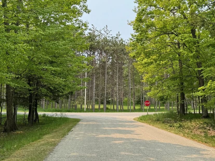 Lots & Land-Other in Harbor Springs