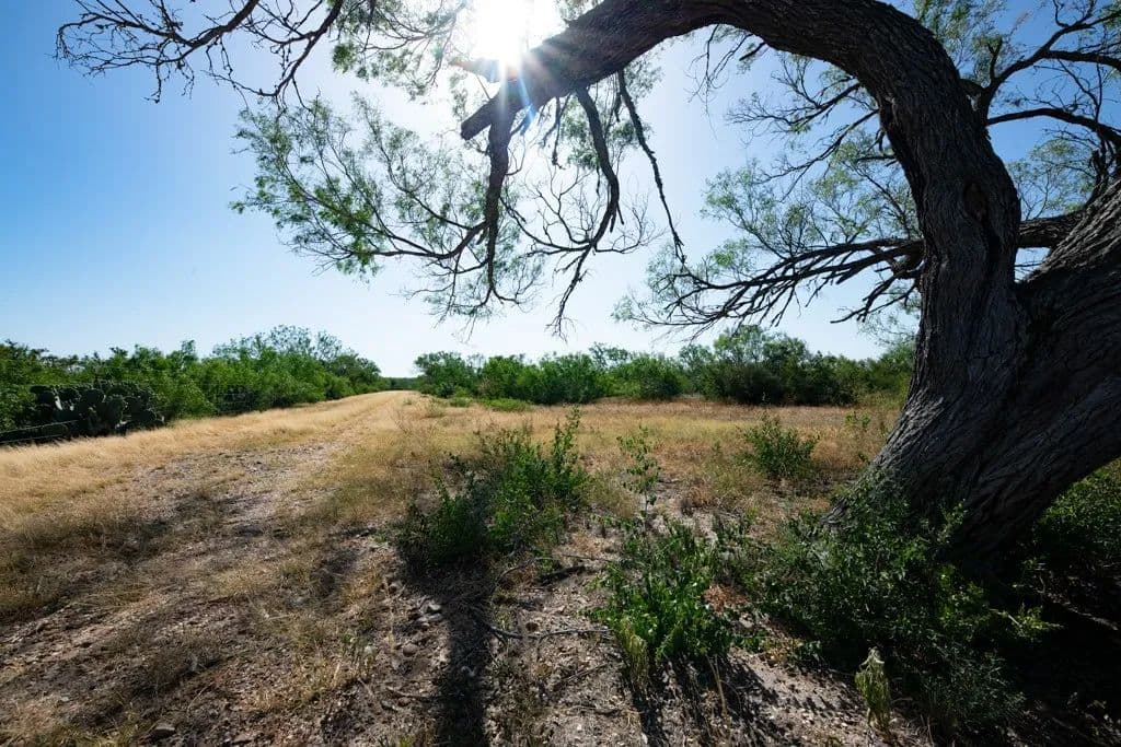 Vacant Land in Tilden - Tilden, Texas, 78072