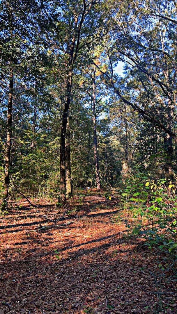 Vacant Land in Laurel Hill