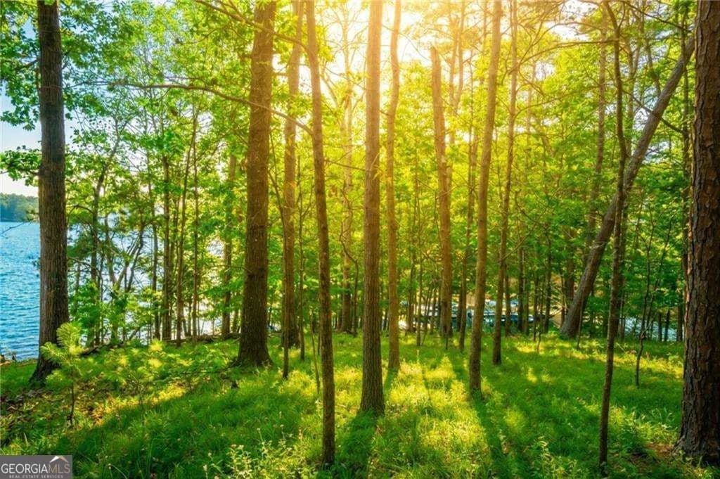 0.45 Acres of Land for Sale in Gainesville, GA - Gainesville, Georgia, 30504