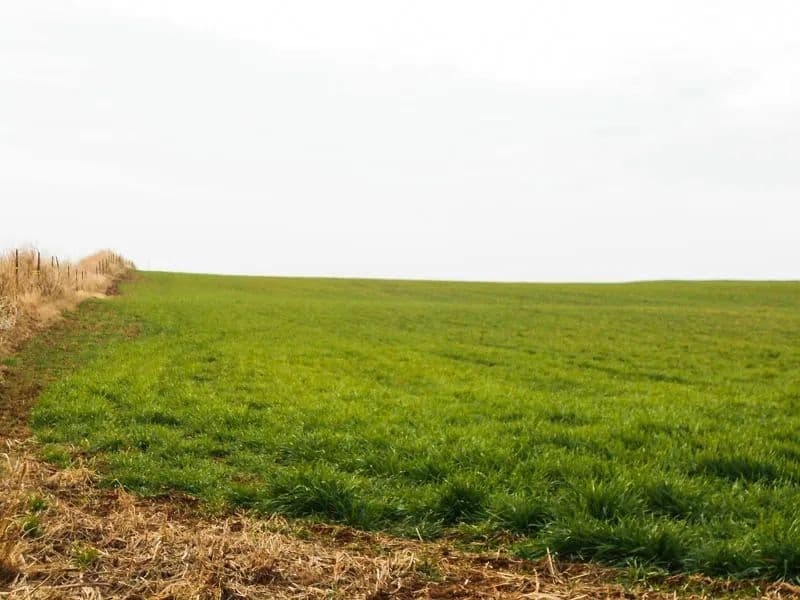 150± Acres with Improvements 