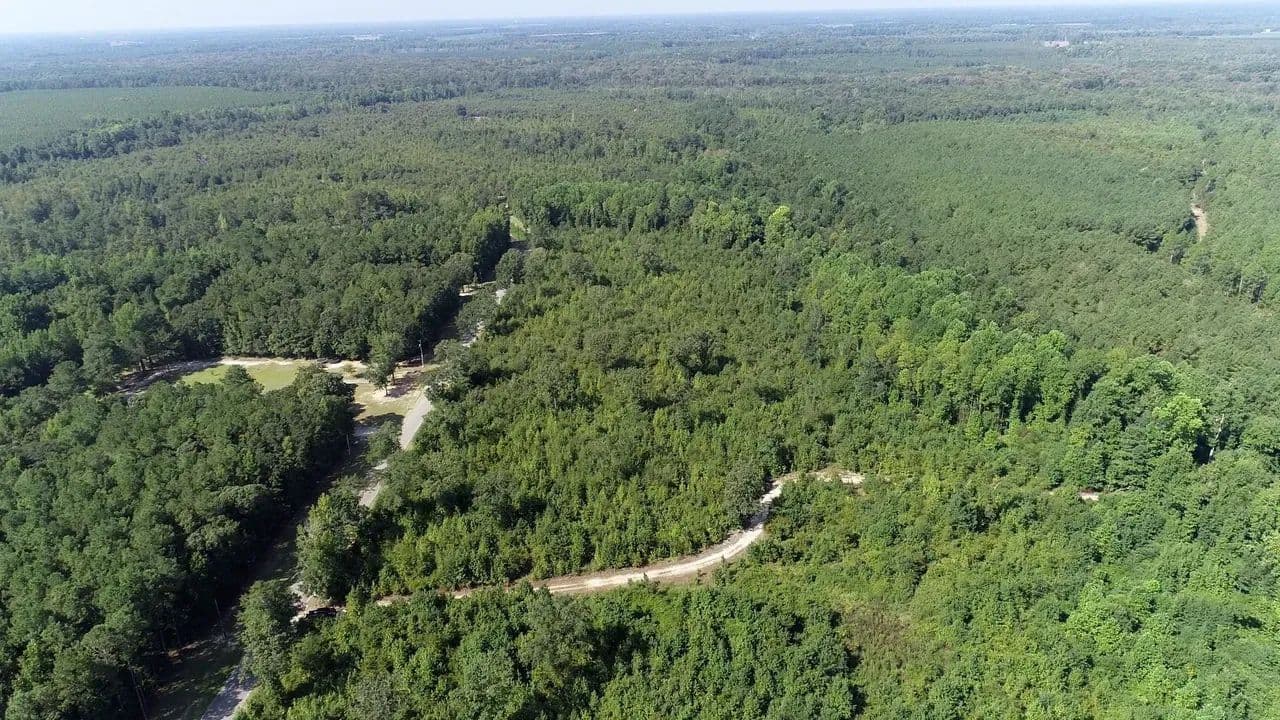 Blackwater Land Group Gully Branch #1 - Little Rock, South Carolina, 29567