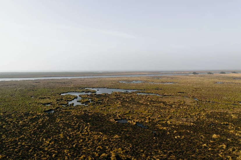 505 Acres in Iberia Parish, LA 