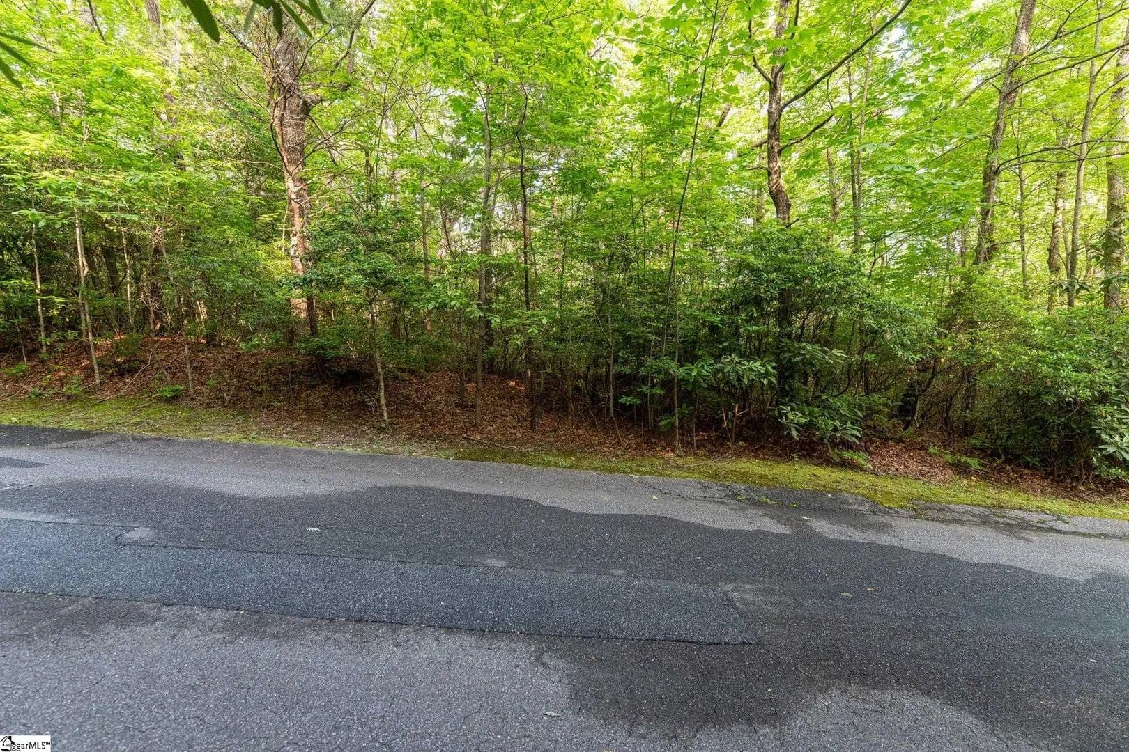 0.62 Acres of Land for Sale in Cleveland, SC - Cleveland, South Carolina, 29635