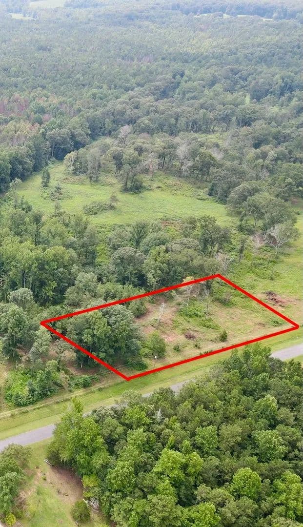 Denney Rd Lot 1- 1.1 acres - Ashland, Alabama, 36251