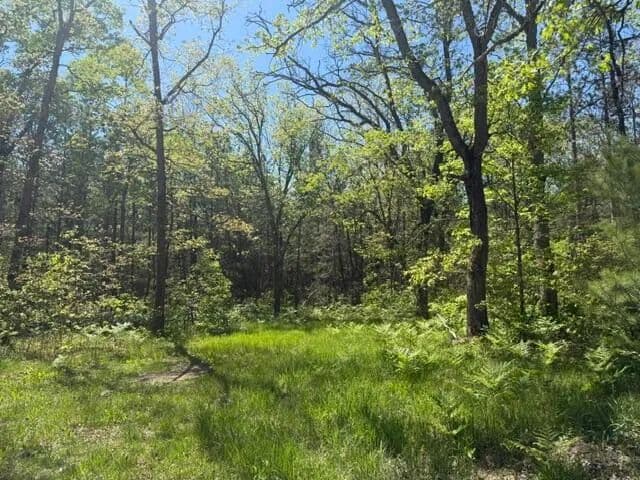 Property from Parcel C USFS 5196 - KW - Baldwin, Michigan, 49304