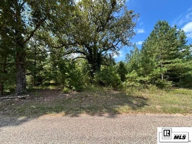 Vacant Land in Lillie - Lillie, Louisiana, 71256