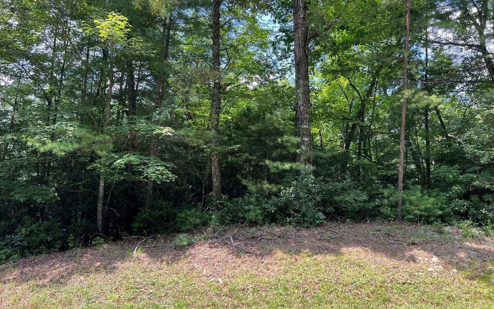 Lots & Land-Other in Hayesville - Hayesville, North Carolina, 28904