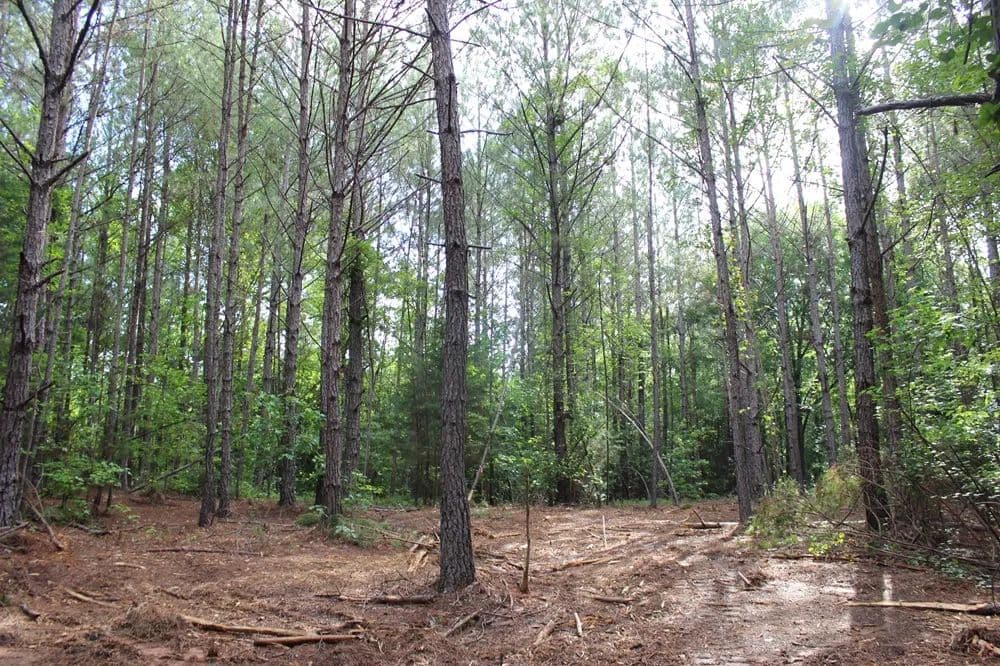 Fantastic Loaction in Northern Monroe County - Flovilla, Georgia, 30216