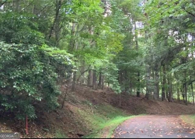 Lots & Land-Other in Ellijay