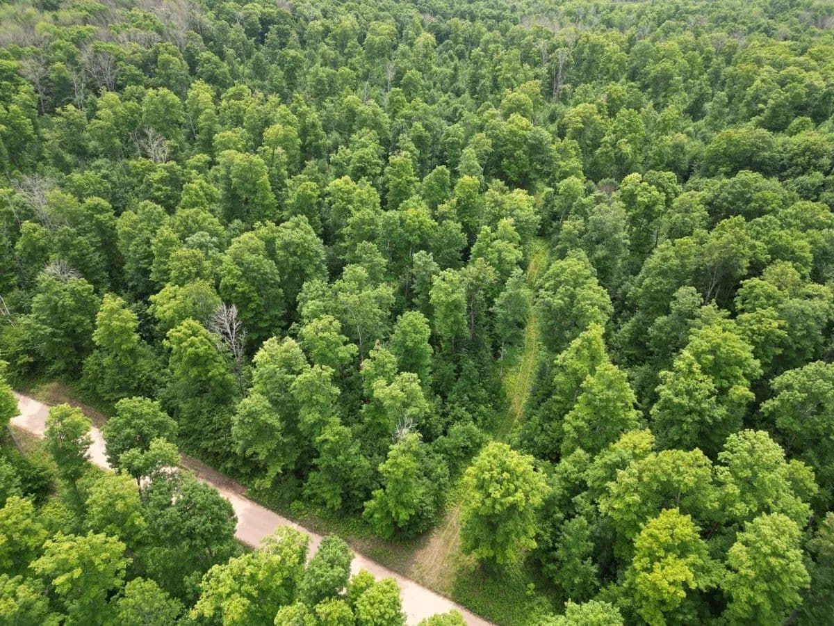 56730 Lantz Road - Foster City, Michigan, 49834