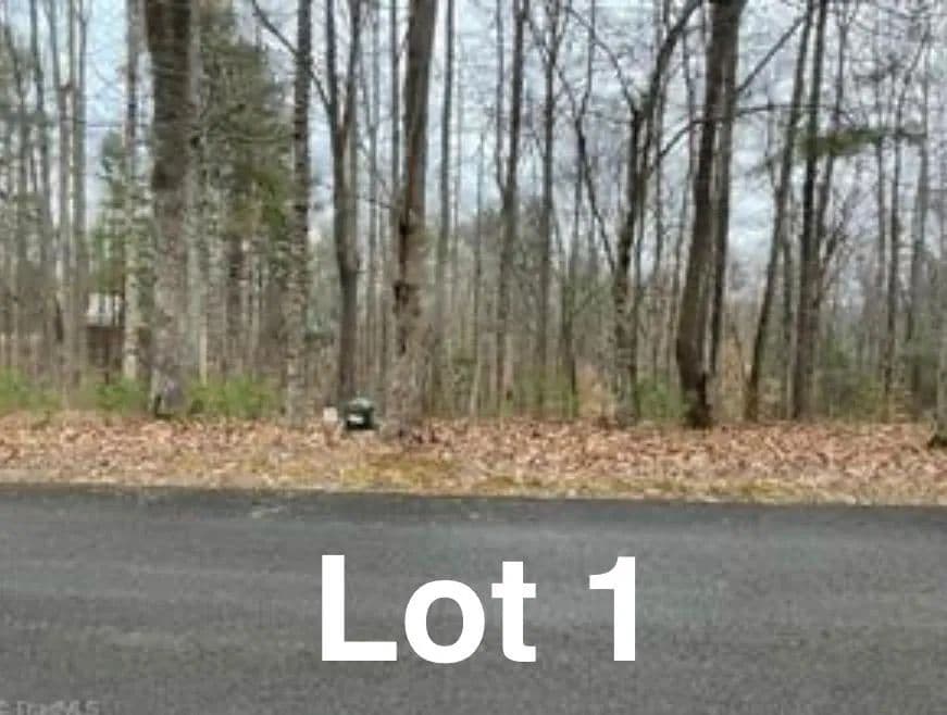 Vacant Land in Stuart - Stuart, Virginia, 24171