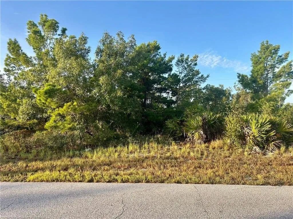 Lots & Land-Other in Lake Placid - Lake Placid, Florida, 33852