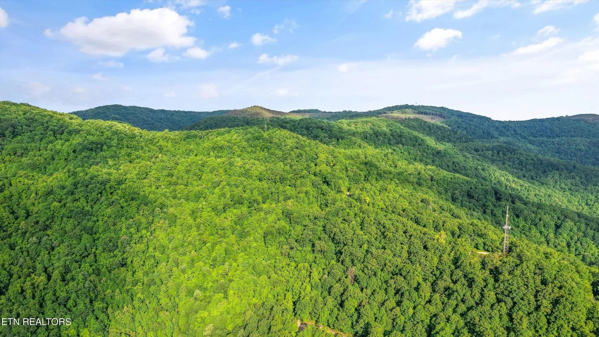 3713 Acres of Land for Sale in Caryville, Tennessee - Caryville, Tennessee, 37714