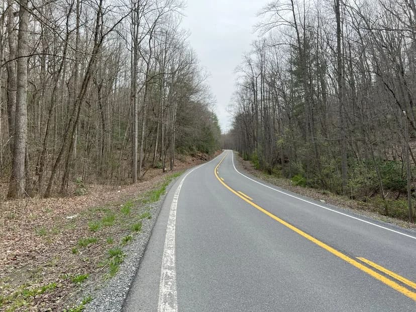 Stretcher Neck Estate