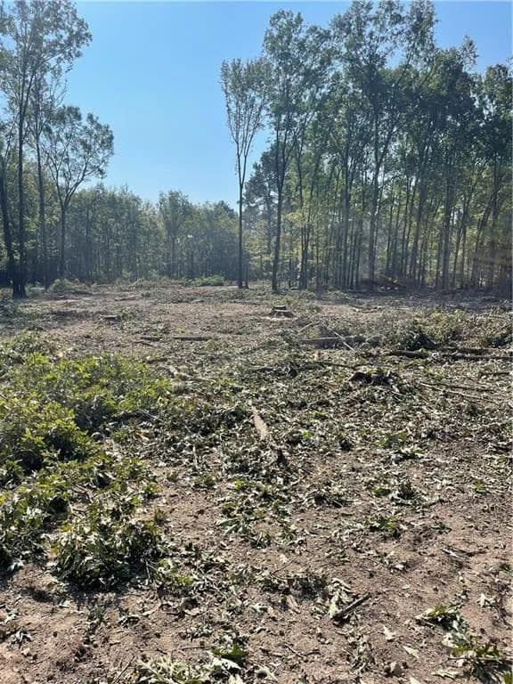 Lots & Land-Other in Coushatta - Coushatta, Louisiana, 71019