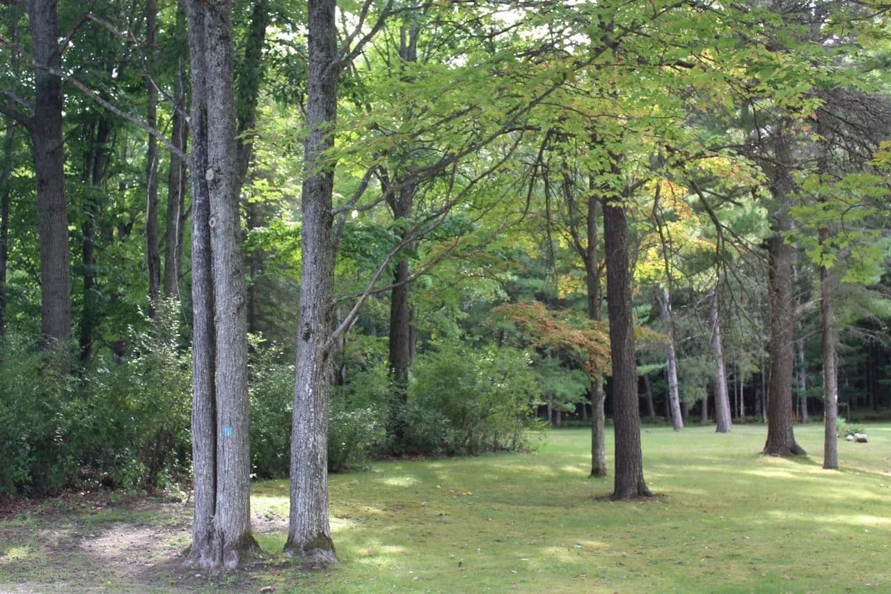 Vacant Land (0-10 Acres) in Roscommon - Roscommon, Michigan, 48653