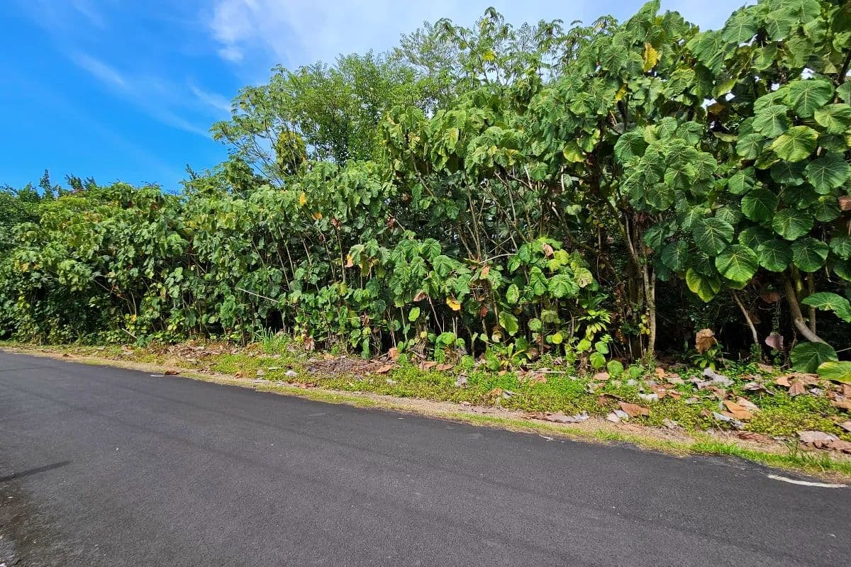 Vacant Land in Pahoa - Pahoa, Hawaii, 96778