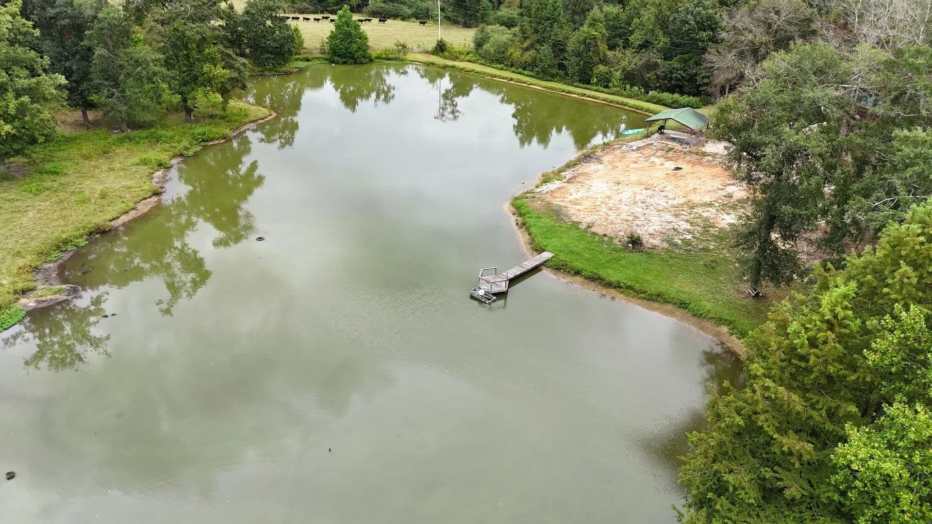 2365 County Rd 2225 - Pike County - Troy, Alabama, 36079
