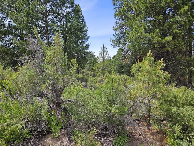 Property from 00 Pine Ridge Loop #Lot 7 - KW