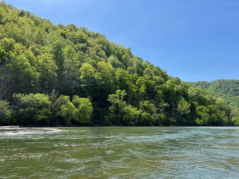 Midvale Colliery Co. & TA Deitz Estate