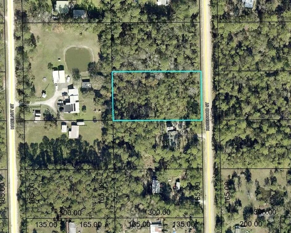 Vacant Land in Bunnell - Bunnell, Florida, 32110