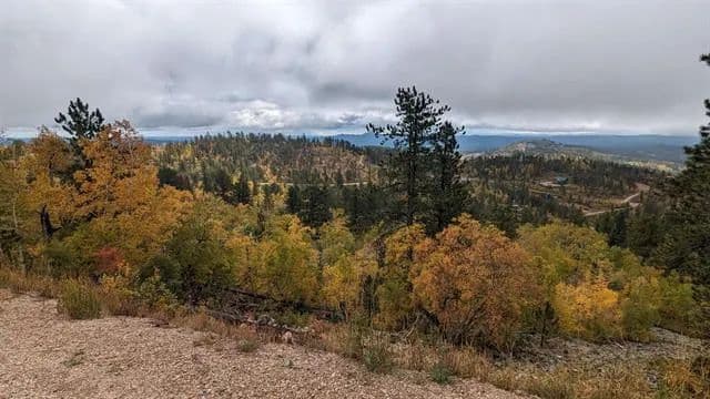 Land -Single Family Acreage in Lead