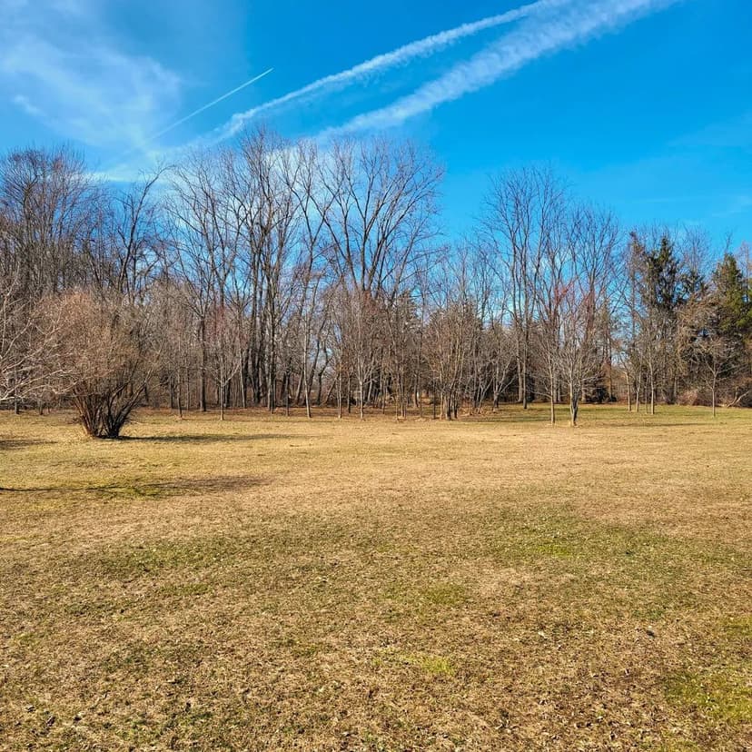 Vacant Land in New Buffalo